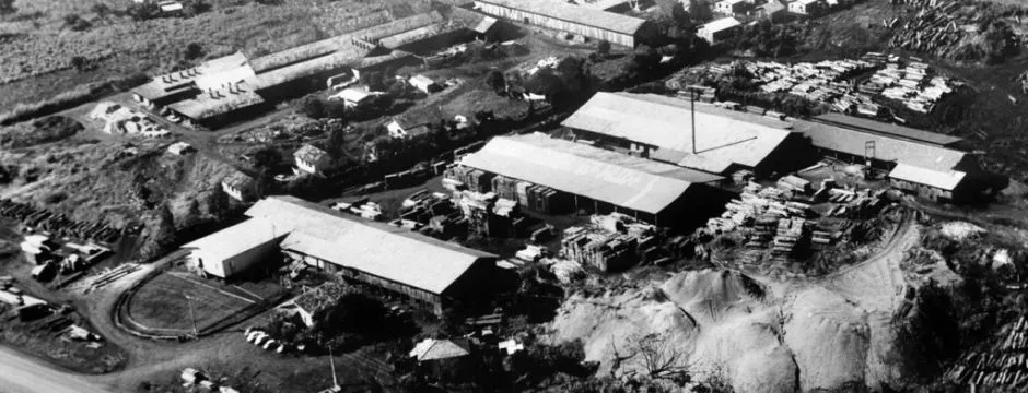 Old black-and-white aerial view of the Dall wood processing yard